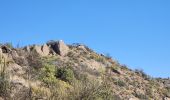 Trail Walking Las Condes - Morro las papas - Photo 6