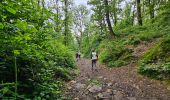 Trail Walking Montigny-le-Tilleul - Balade de Landelies à l'abbaye d'Aulne - Photo 4