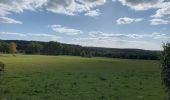 Trail Horseback riding Theux - La Reid Les Cours - Photo 5