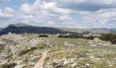 Excursión Senderismo Caussols - CAUSSOLS-Les plateaux de Calern et de Caussols-MBO - Photo 13