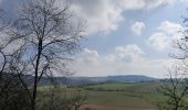 Tour Wandern Houyet - rando custinne 8 /03/2021 - Photo 9