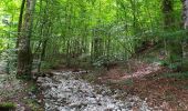 Trail Walking Bohinj - lac de Bohinj - Photo 2