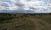 Tour Wandern Murat - les estives et tourbière de Chastel sur Murat - Photo 10