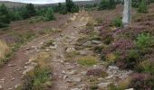 Tocht Stappen Mont Lozère et Goulet - Etape 6 le Bleymard  / Pont Montvert - Photo 14