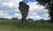 Tour Wandern Chapdes-Beaufort - Le Mazal ,le chemin fais’art, la vierge de Beaufort  - Photo 11