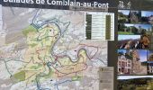 Tour Wandern Anthisnes - Anthines - AS03 - Boucle de Tolumont - Losange Bleu - Photo 6