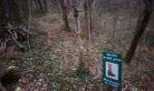 Trail Walking Saint-Vincent-la-Commanderie - bois des masques/ St Vincent la Commanderie - Photo 12