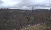 Tour Wandern Myon - myon les lunettes à Stéphane  - Photo 10