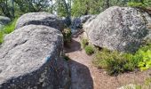 Tocht Stappen Fontainebleau - Barbizon sentier Denecourt 6 ouest - 6-6 - Photo 8