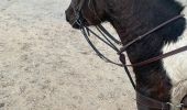 Excursión Paseo ecuestre Tallone - Boucle de 30km - Photo 1