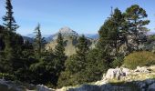 Tour Wandern Saint-Pierre-de-Chartreuse - La Dent de Crolles en boucle - Photo 9