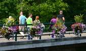 Percorso A piedi Stavelot - 8. Promenade du Merle - Photo 7