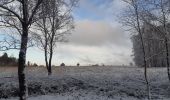 Tocht Stappen Spa - berinzenne . andrimont . chevrouhé . malchamps . berinzenne  - Photo 19