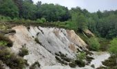 Randonnée Marche Anthisnes - La boucle de Tolumont - Photo 3