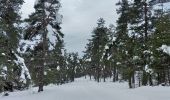 Tocht Langlaufen Thorame-Haute - ski de fond colle baudet - Photo 3