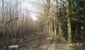 Tour Wandern Sentheim - Autour des quatres villages - Photo 1