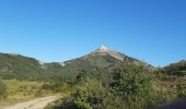 Trail Walking Esparron - ESPARON 05 . Lac de Peyssier . Col de  Peyssier o s - Photo 2