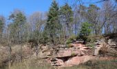 Excursión A pie Forst Hain im Spessart - Kulturweg Spessartrampe - Photo 5