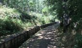 Trail On foot Cervera de Pisuerga - El Bosque Fósil - Photo 8