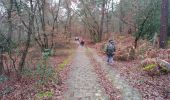 Trail Walking Fontainebleau - cabaret Gilbert - Photo 3