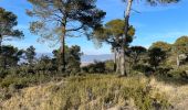 Tour Wandern La Roque-d'Anthéron - PF-La-Roque-d'Anthéron - La Chaîne des Côtes - Reco - Photo 16