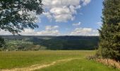 Tour Wandern Stoumont - cour . borgoumont . moulin du ruy . andrimont . cour - Photo 7