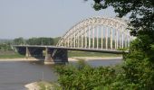 Trail On foot Nijmegen - Wandelroute Ooijpolder - Photo 9
