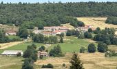 Tour Wandern Chalmazel-Jeansagnière - Au dessus de Chalmazel  - Photo 5