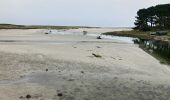 Tocht Stappen Plobannalec-Lesconil - Lesconil - Photo 9