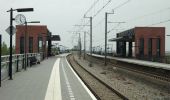 Tocht Te voet Kampen - WNW IJsseldelta - Station Kampen-Zuid - groene route - Photo 9