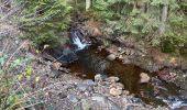 Tocht Stappen Malmedy - Ferme Libert - Photo 14