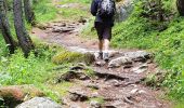 Trail Walking Vallorcine - Les Buets à Callorcibe - Photo 10