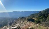 Excursión Senderismo Méounes-lès-Montrieux - Melun es . Les barres de cuers  - Photo 1