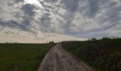 Trail Walking Oupeye - promenade au pays des macrales - Photo 1