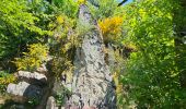 Tour Wandern Goesdorf - Goebelsmühle - Bourscheid - Dirbach - Photo 16