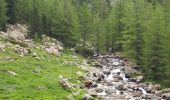 Trail Walking Saint-Martin-Vésubie - Boreon, Refuge Cougourde, Lac Trecolpas - Photo 7