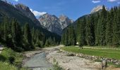 Trail On foot Sappada - IT-313 - Photo 1