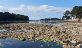 Trail Walking Larmor-Baden - PR_56_Larmor-Baden_BA_02_Tour-De-Berder-Et-Du-Marais_Circuit4a_20240717 - Photo 3