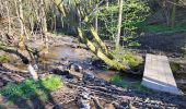 Tour Wandern Gedinne - Willerzie 190425 - Photo 10