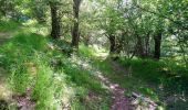 Trail Walking Jou-sous-Monjou - Cantal - Jou sous Monjou - 7.7km 300m 2h40 - 2019 06 27 - Photo 5