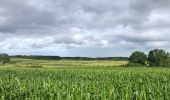 Tocht Stappen Étaules - Etaules famille - Photo 4