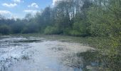 Excursión Senderismo Fosses-la-Ville - Tour des lacs de Bambois - Photo 1