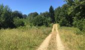 Trail Walking Tintigny - La Rando du Bian: Autour de Lahage ( variante)  - Photo 3