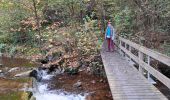 Trail Walking Waimes - RS 2024_10 Botrange  - Photo 7