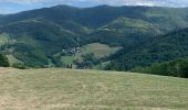 Tour Reiten Urbeis - Orbey- Sainte Marie aux mines - Photo 2