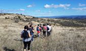 Tour Wandern Olmet-et-Villecun - Les Défriches - Photo 7