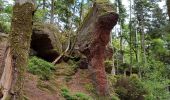Tour Wandern Celles-sur-Plaine - celles sur plaine - Photo 8