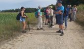 Trail Walking Altkirch - rando Lerchenberg Altkirch - Photo 1