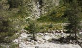 Tour Wandern Corte - lac de Melo départ frasseta - Photo 1