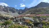 Trail Walking Vallouise-Pelvoux - Les Écrins Glacier Blanc - Photo 4